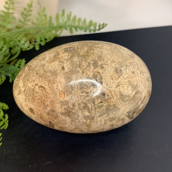 Beautiful brown, tan and cream colored MARBLE egg - Picture 8 of 10